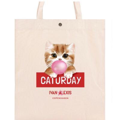 TEDDY CAT CATURDAY Thumbnail