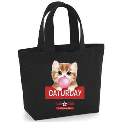 TEDDY CAT CATURDAY Thumbnail