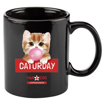 TEDDY CAT CATURDAY Thumbnail